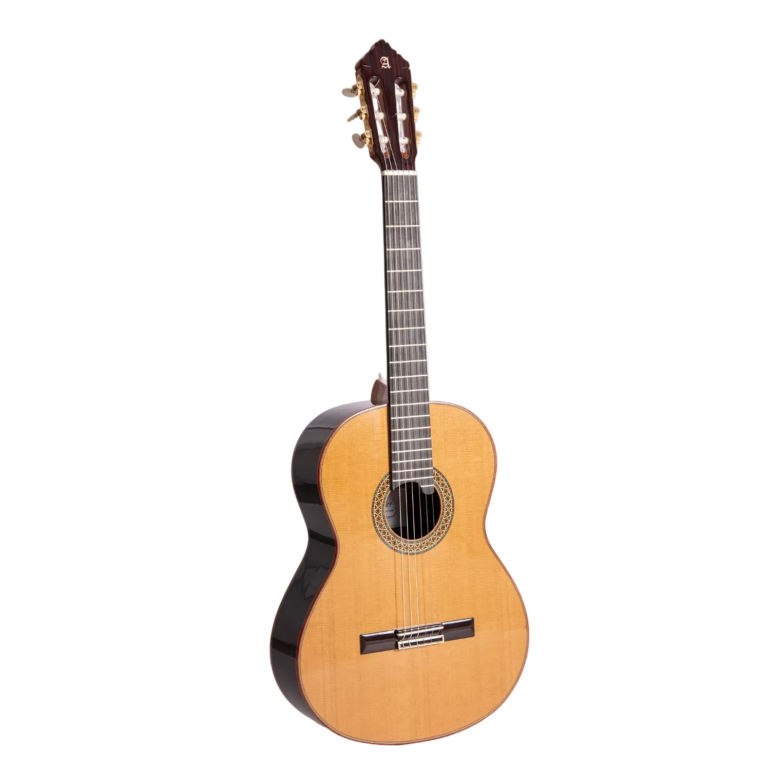 Professional-level guitars: Excellence and Master Craftsmanship